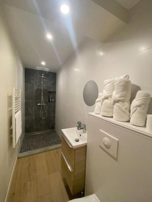 Mions Appartement T2 Spacieux Et Equipe מראה חיצוני תמונה